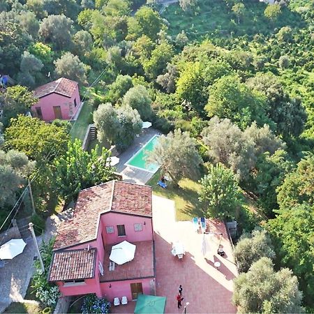 Agricontura Guest House Capri Leone Room photo