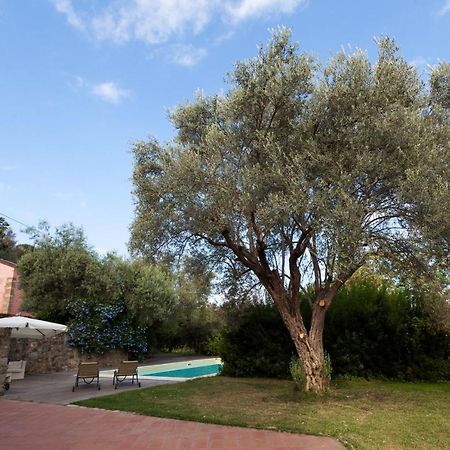 Agricontura Guest House Capri Leone Exterior photo