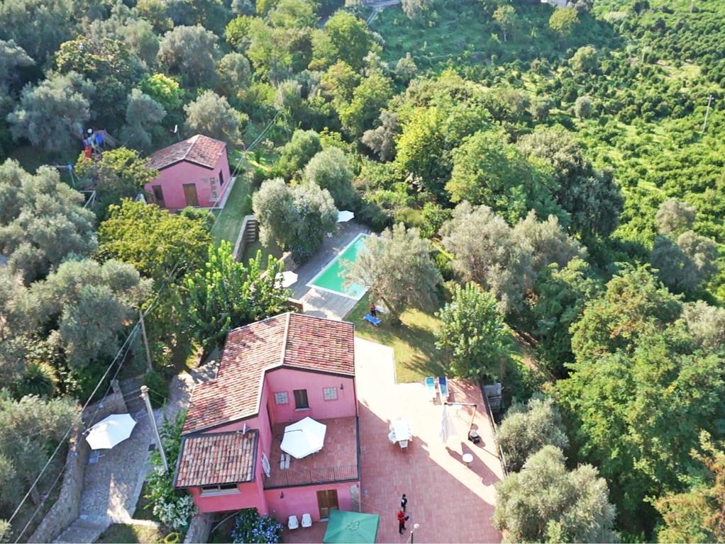 Agricontura Guest House Capri Leone Room photo
