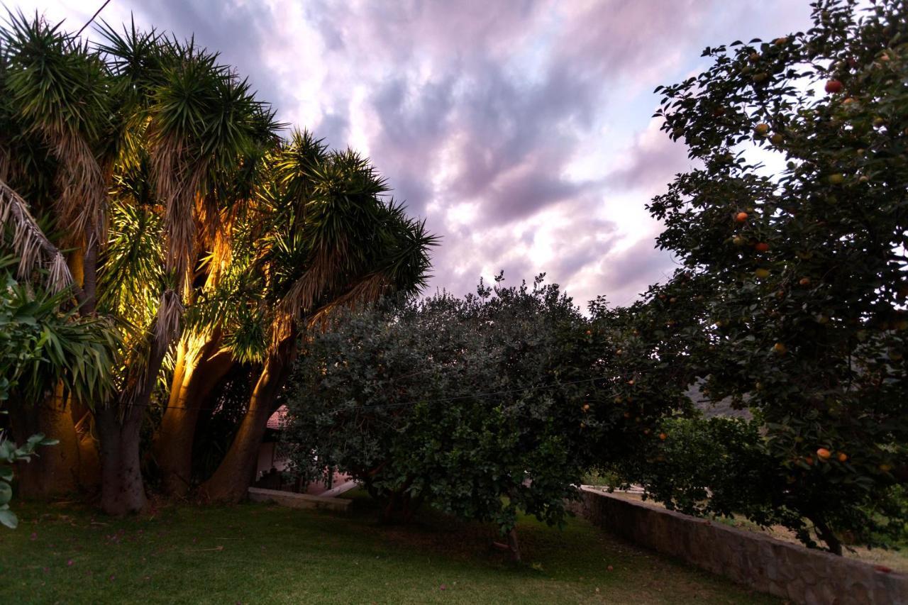 Agricontura Guest House Capri Leone Exterior photo