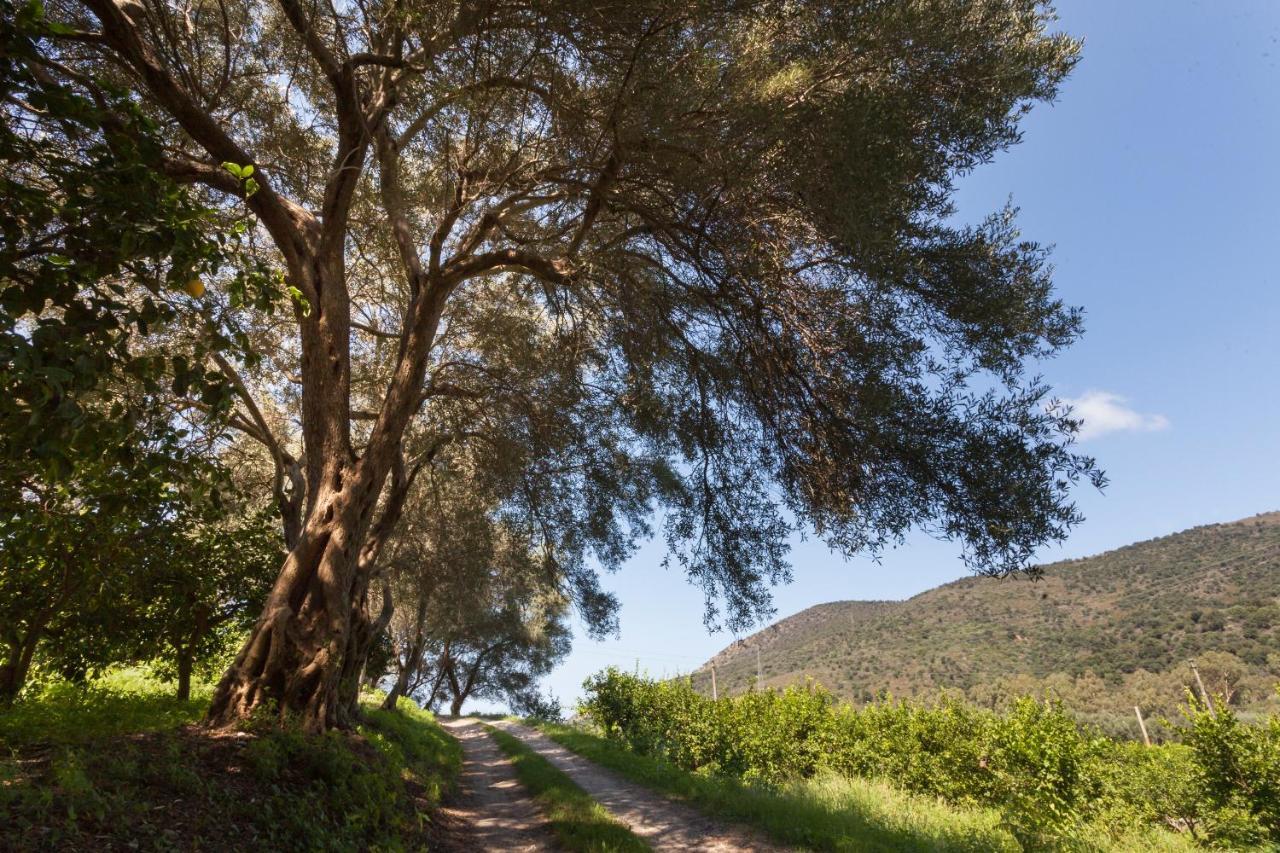 Agricontura Guest House Capri Leone Exterior photo